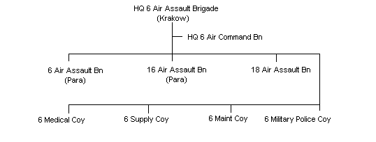 Polish 6 Air Assault Brigade